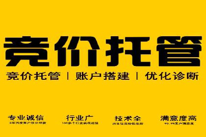SEM运营公司案例解析：精准广告投放技巧